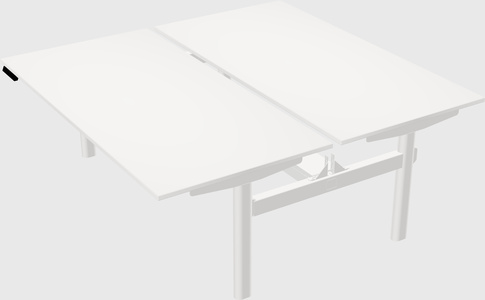 Shared electric desk