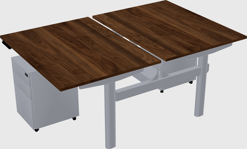 Shared electric desk
