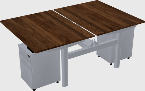 Shared electric desk