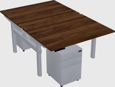 Shared electric desk