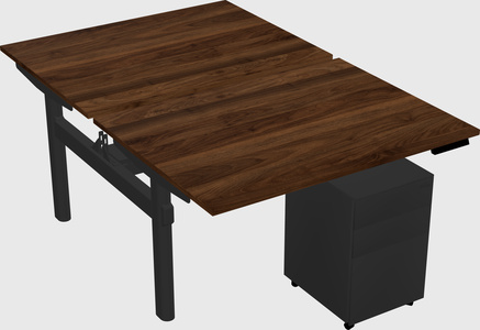 Shared electric desk