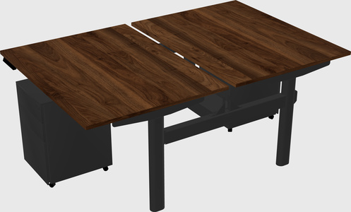 Shared electric desk