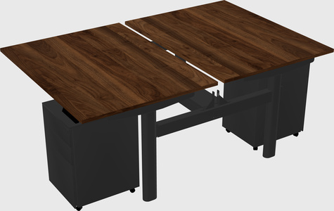 Shared electric desk