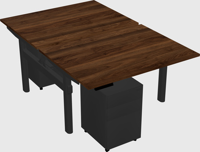 Shared electric desk