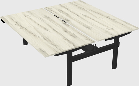 Shared electric desk