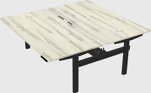 Shared electric desk