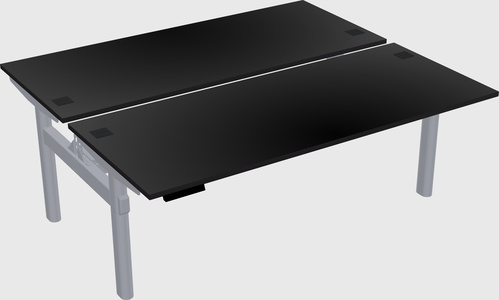 Shared electric desk