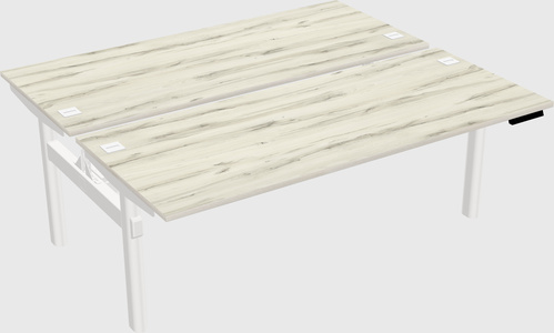 Shared electric desk