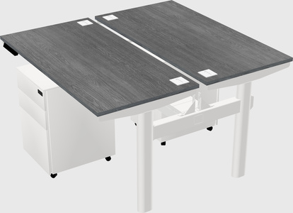 Shared electric desk