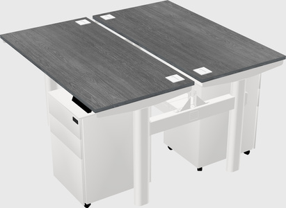 Shared electric desk