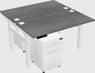 Shared electric desk