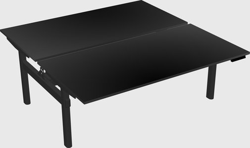 Shared electric desk