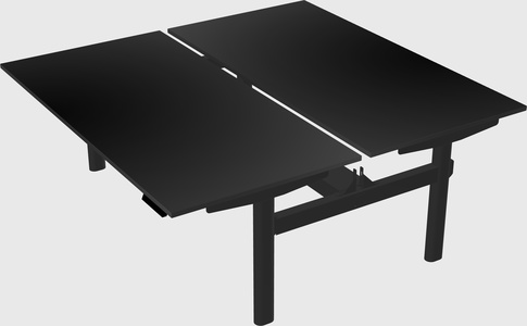 Shared electric desk