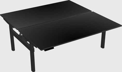 Shared electric desk