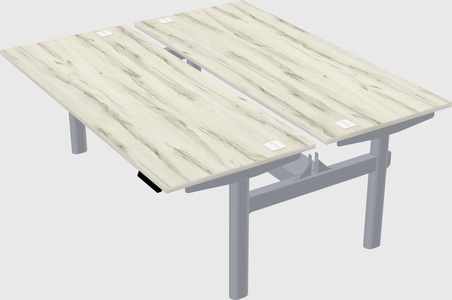 Shared electric desk