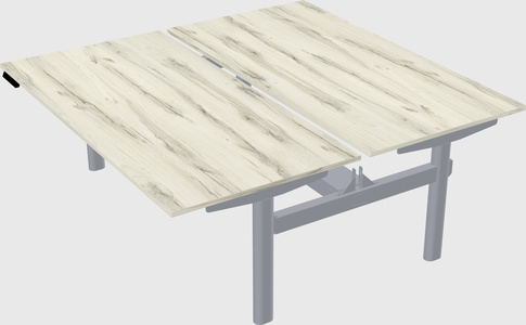 Shared electric desk