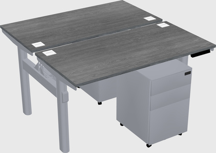 Shared electric desk