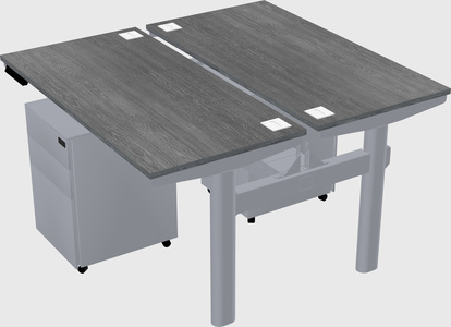Shared electric desk