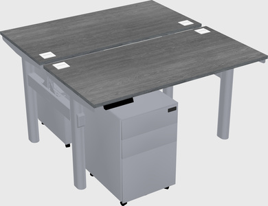 Shared electric desk