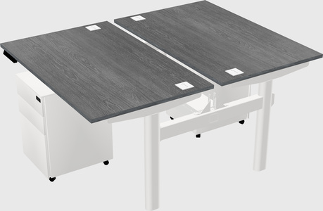 Shared electric desk