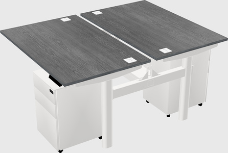 Shared electric desk