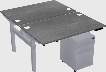 Shared electric desk