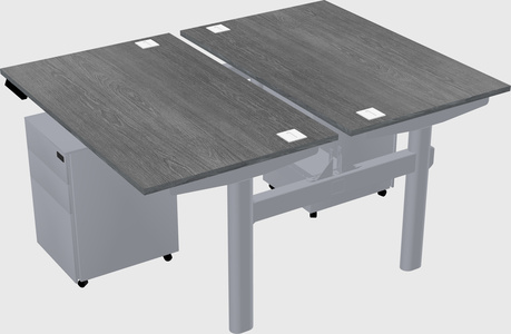 Shared electric desk