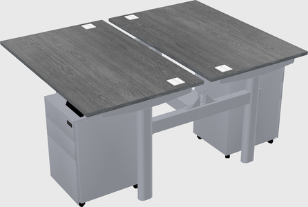 Shared electric desk