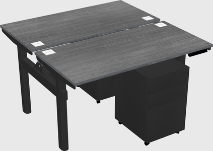 Shared electric desk