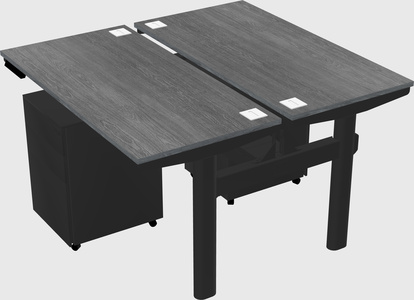Shared electric desk