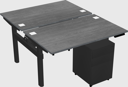 Shared electric desk