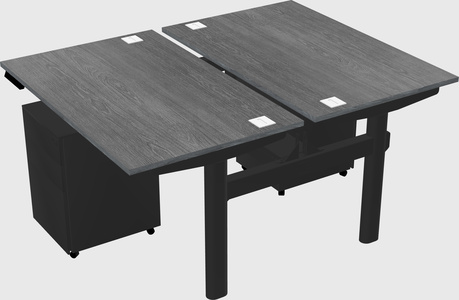 Shared electric desk