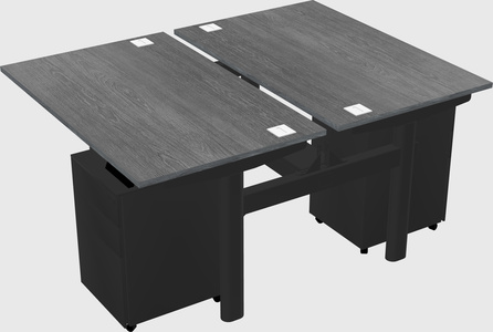 Shared electric desk