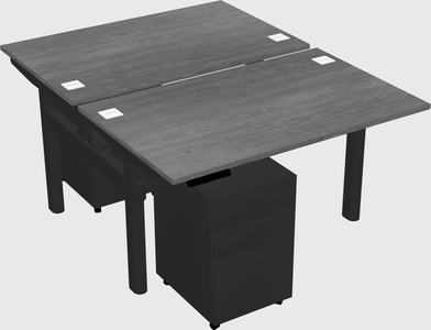 Shared electric desk