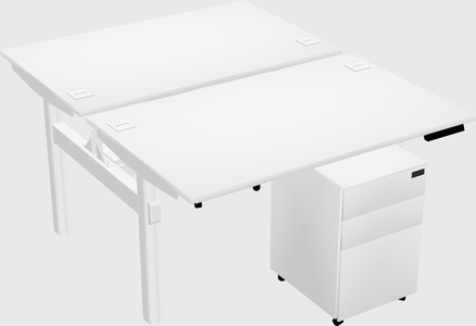 Shared Electric Desk
