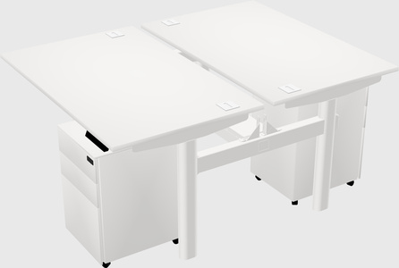 Shared electric desk