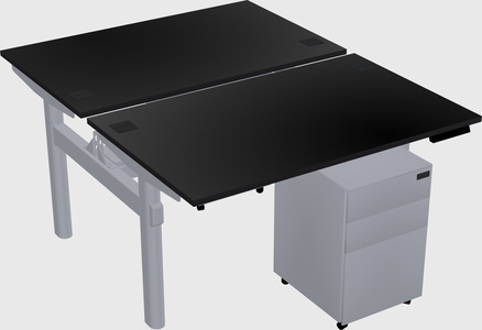 Shared electric desk