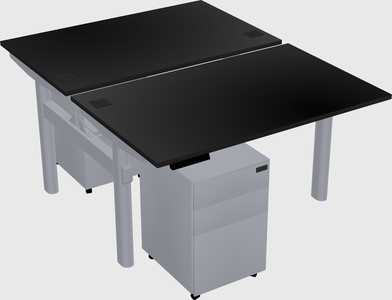 Shared electric desk