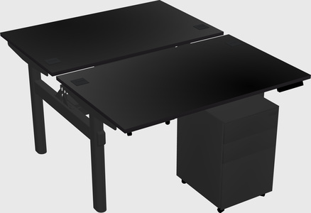 Shared electric desk