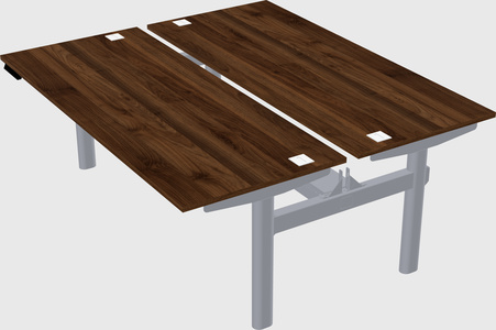 Shared electric desk
