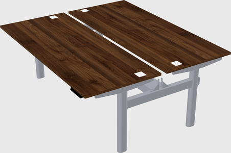 Shared electric desk