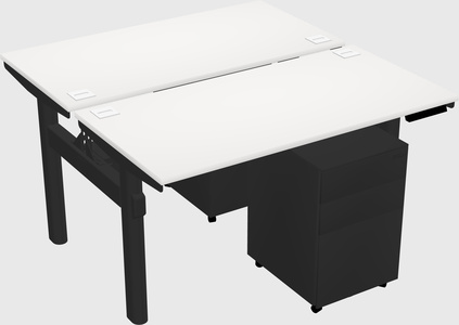Shared electric desk