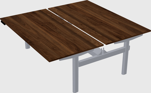 Shared electric desk