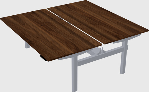 Shared electric desk