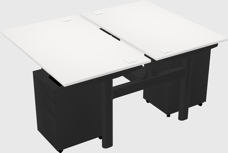Shared electric desk