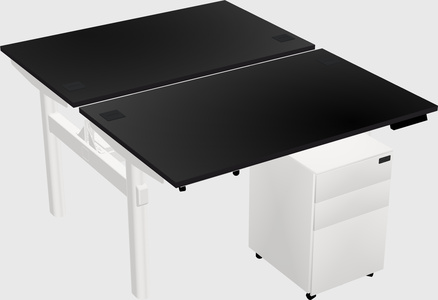Shared Electric Desk