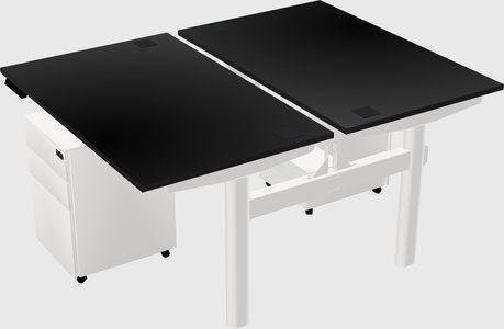 Shared electric desk