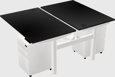 Shared electric desk