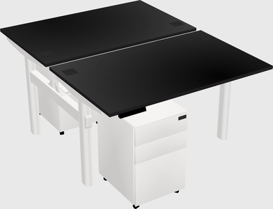 Shared electric desk