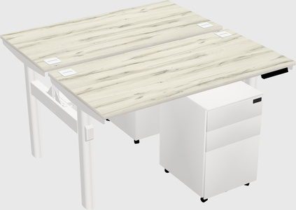 Shared Electric Desk